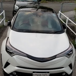 C-HR ZYX10