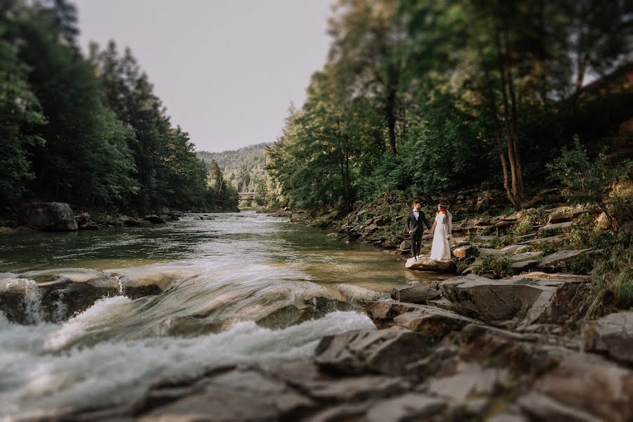 Wedding photographer Denis Efimenko (degalier). Photo of 16 December 2018