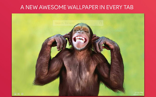 Monkey Wallpaper HD Custom New Tab