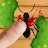 Ant Smasher - Kill All Of Them icon