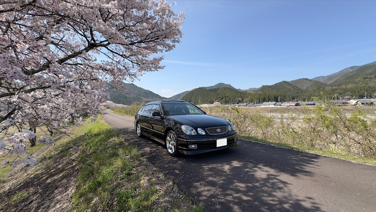 アリストの桜とコラボ・桜・桜コラボ・サクラと愛車・ドライブに関するカスタム事例の投稿画像11枚目