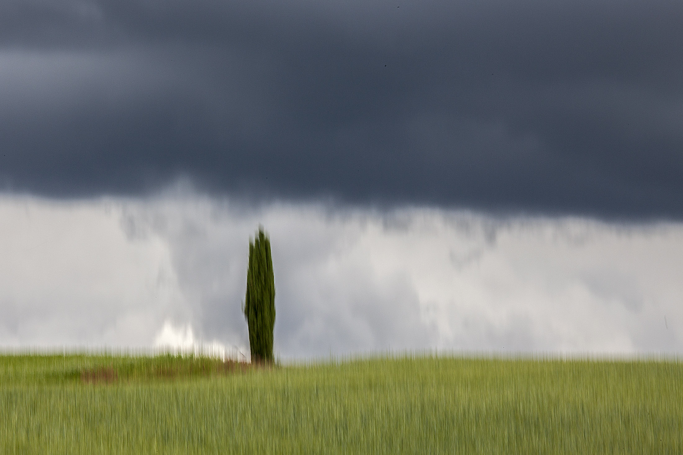 Siena....la mossa di stefanogaleotti