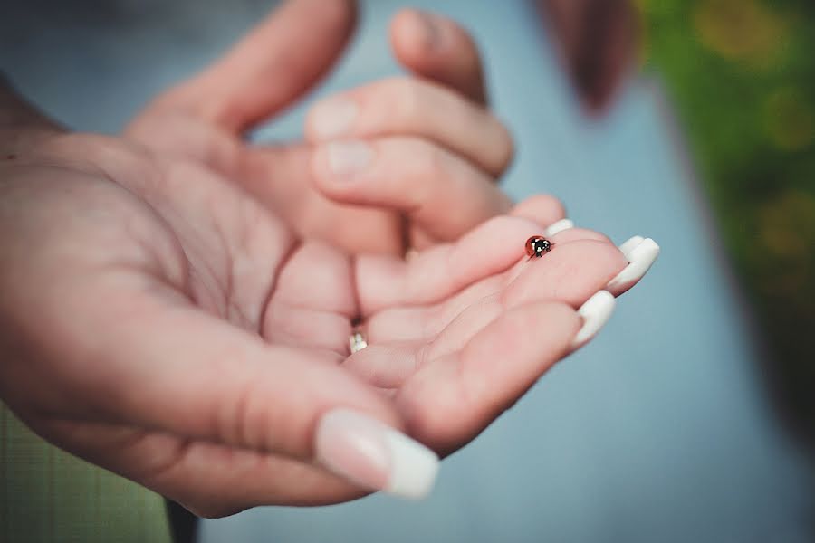 Photographe de mariage Aleksandr Romantik (pomantik). Photo du 4 février 2016