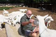 Norman Belcher with the goats he farms for milk to produce cheese at Belnori Cheese Farm in Bapsfontein, Ekurhuleni.  