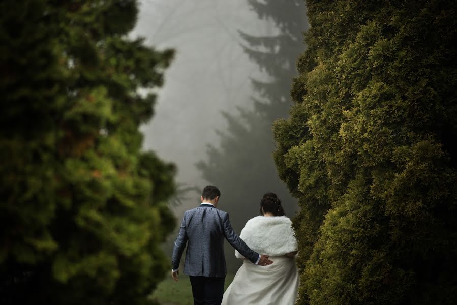 Fotógrafo de casamento Denise Motz (denisemotz). Foto de 28 de dezembro 2017