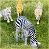 Wild Cheetah Simulator icon