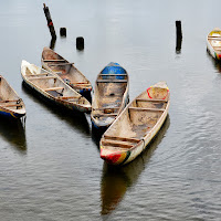 Calma sotto la pioggia di 