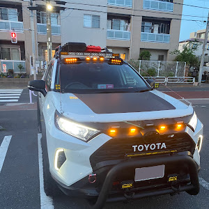 RAV4 MXAA54