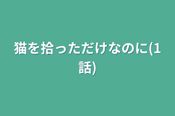 猫を拾っただけなのに(1話)