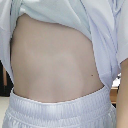 白猫