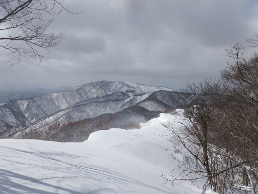 横山岳方面（県境稜線）