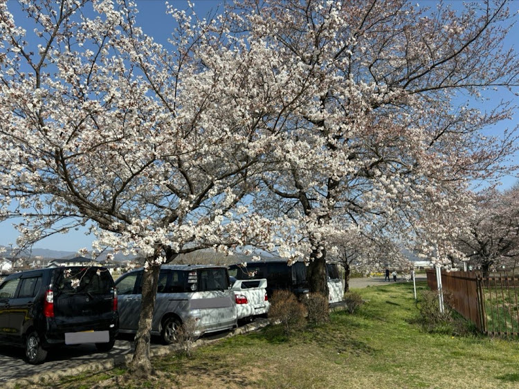 の投稿画像2枚目