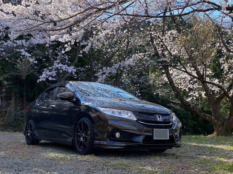 グレイスの桜と愛車・ドライブに関するカスタム事例の投稿画像2枚目