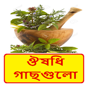 জেনে রাখুন ঔষধি গাছগুলোর  গুণাগুণ  Icon