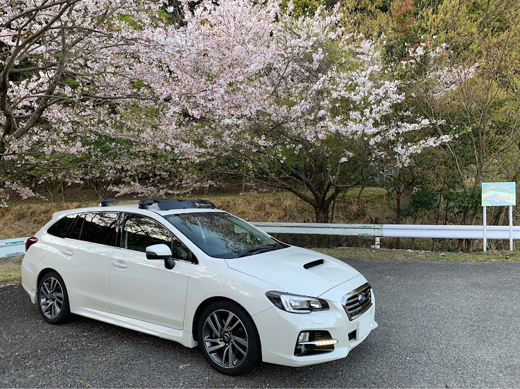 レヴォーグの桜と愛車・桜とコラボ・ルーフキャリア・フェアリングに関するカスタム事例の投稿画像2枚目
