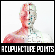 Acupuncture Points 2.2.3 Icon