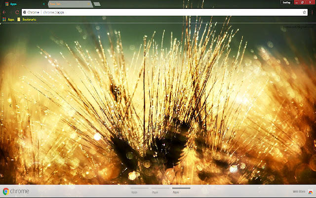 Dew Nature Water Drop Wheat chrome extension