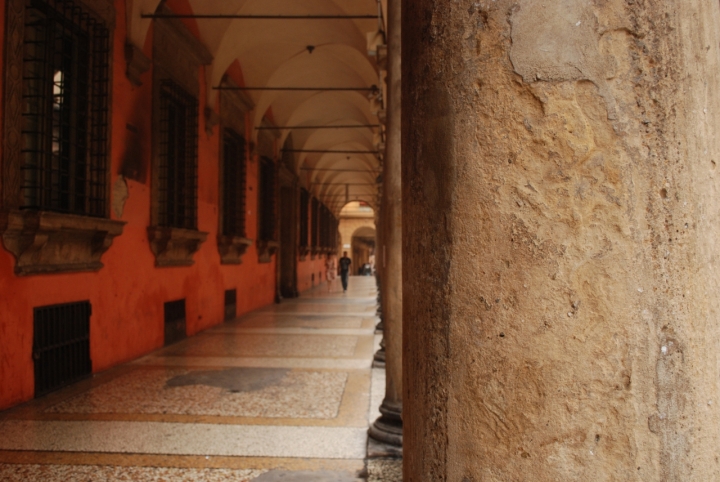 Le tante linee dei miei portici... di Francesca Luce