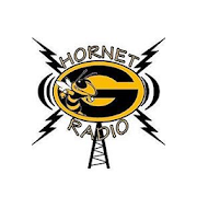 Hornet Radio 1.0 Icon