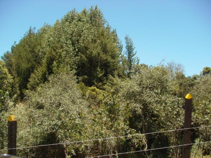 Lote En Venta - Sopo, Sopo