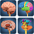 My Brain Anatomy icon