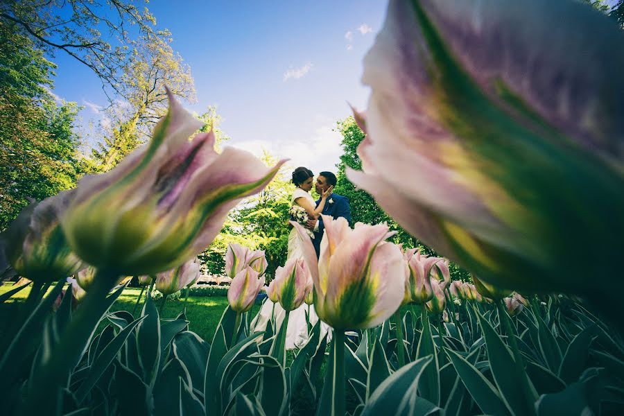 Wedding photographer Dmitriy Shumeev (wedmoment). Photo of 25 May 2015