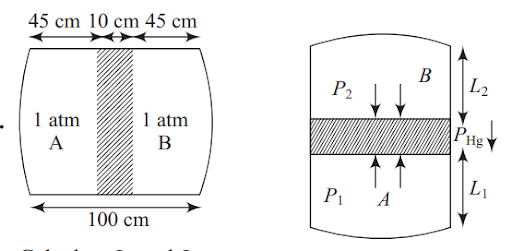 Diffusion