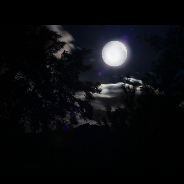 Dietro, la luna. di simone fanni