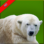 Cover Image of Herunterladen Animal Wallpaper 1.0 APK