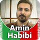 Amin Habibi - songs offline for PC-Windows 7,8,10 and Mac