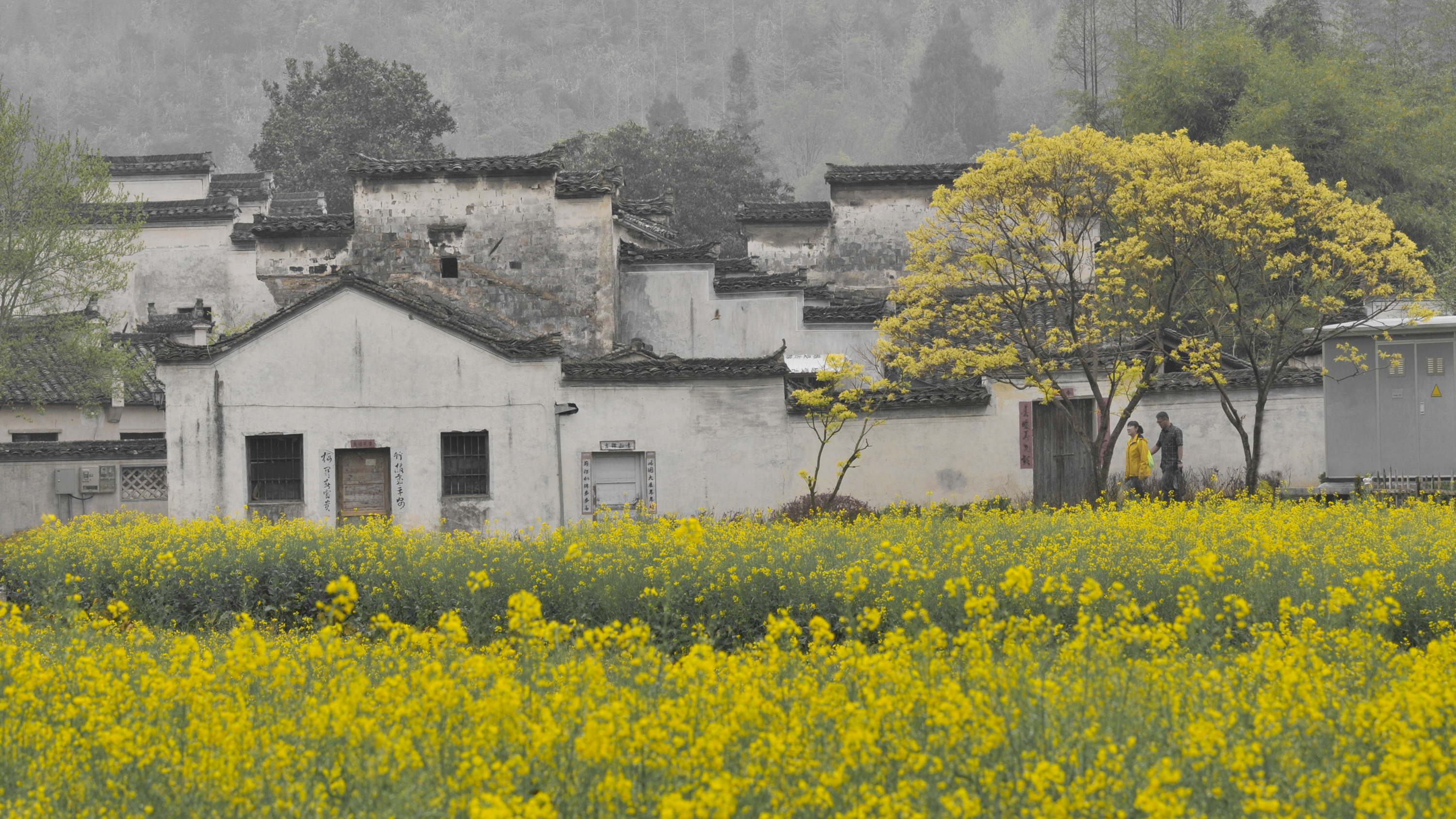 Tra architettura e natura di loredana de sole