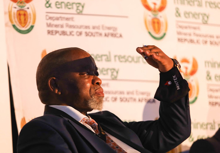 Mineral resources and energy minister Gwede Mantashe at the Solar Power Africa conference at Cape Town International Convention Centre on February 16 2022.