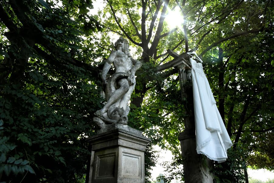 Fotografo di matrimoni Micaela Segato (segato). Foto del 4 agosto 2017