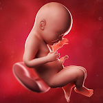 Pregnancy week by week Apk