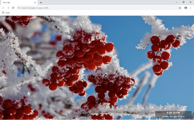 The Frost New Tab & Wallpapers Collection