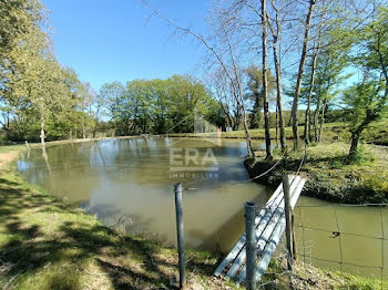 terrain à Availles-Limouzine (86)