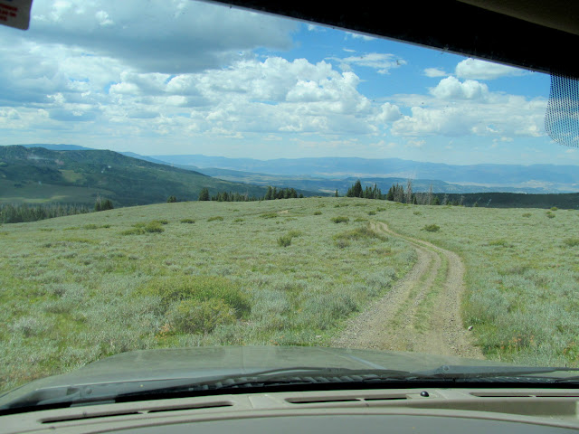 Driving down the two-track