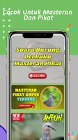 Suara Burung Derkuku Pikat Screenshot