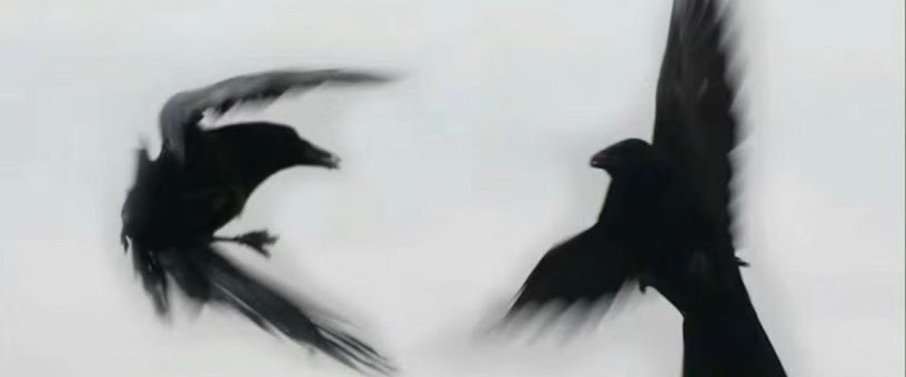 Artist Thumbnail