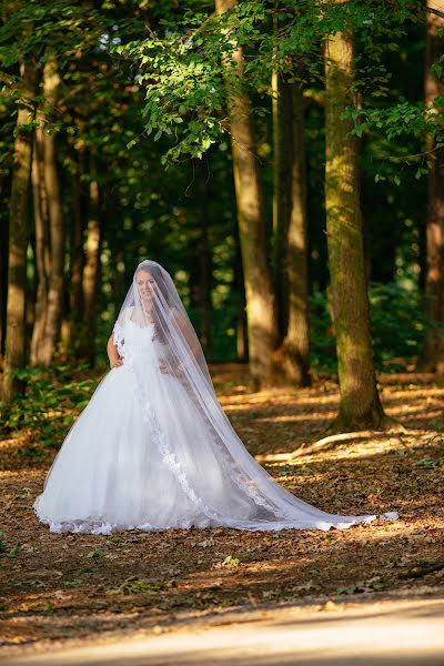 Svatební fotograf Bugarin Dejan (bugarin). Fotografie z 8.listopadu 2017