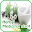 medicinal plants & herbs Download on Windows