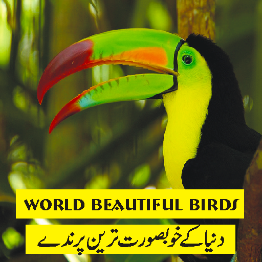 Beautiful birds of world