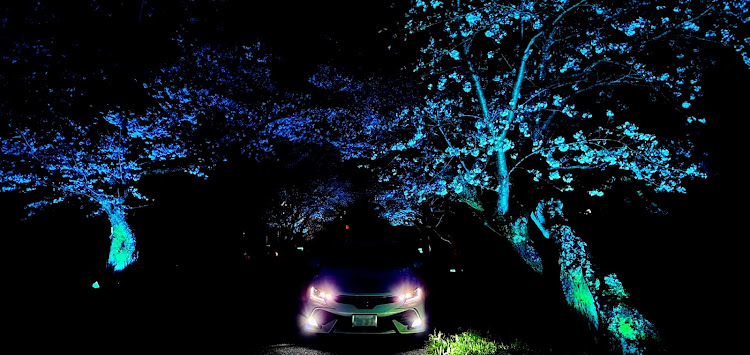 マークXのマークX・マークX 130系・T5R2P・桜とコラボ・ライトアップに関するカスタム事例の投稿画像3枚目