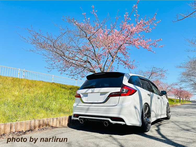 ジェイドの無限MUGEN・#enkeiwheels・ジェイドのある生活・河津桜に関するカスタム事例の投稿画像2枚目