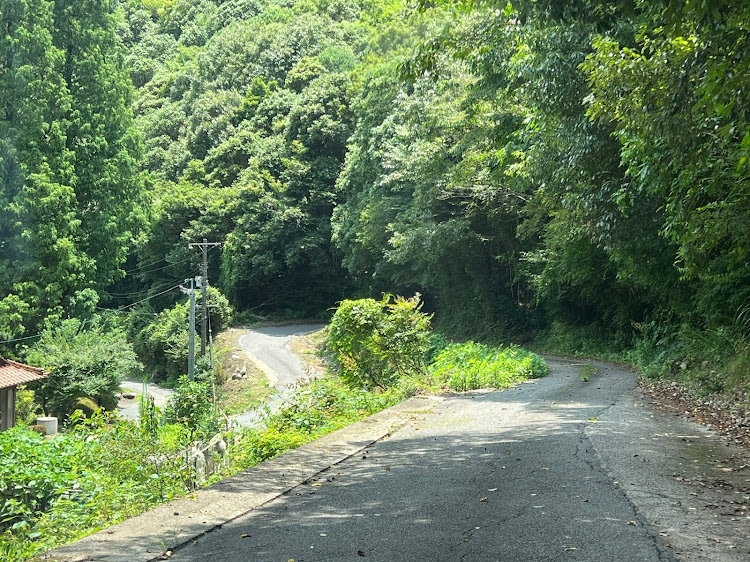 ライフダンクのドライブ・道の駅 西条のん太の酒蔵・険道・懐かし自販機・野生動物注意‼️に関するカスタム事例の投稿画像9枚目