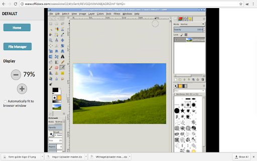 Gimp online - image editor and paint tool