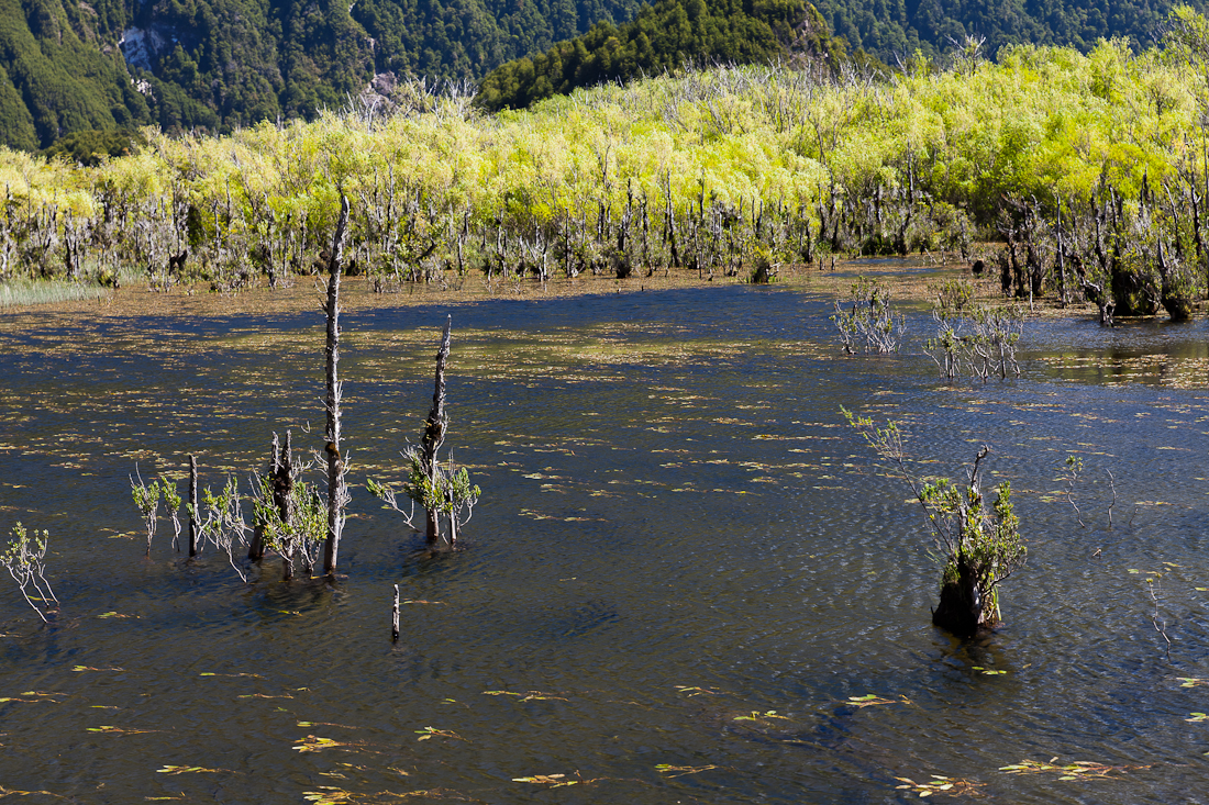 Патагония: Carretera Austral - Фицрой - Торрес-дель-Пайне. Треккинг, фото.