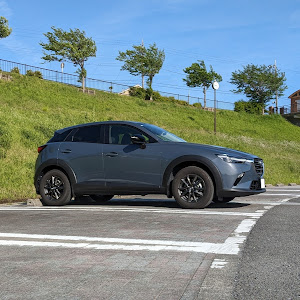 CX-3 DKLFW