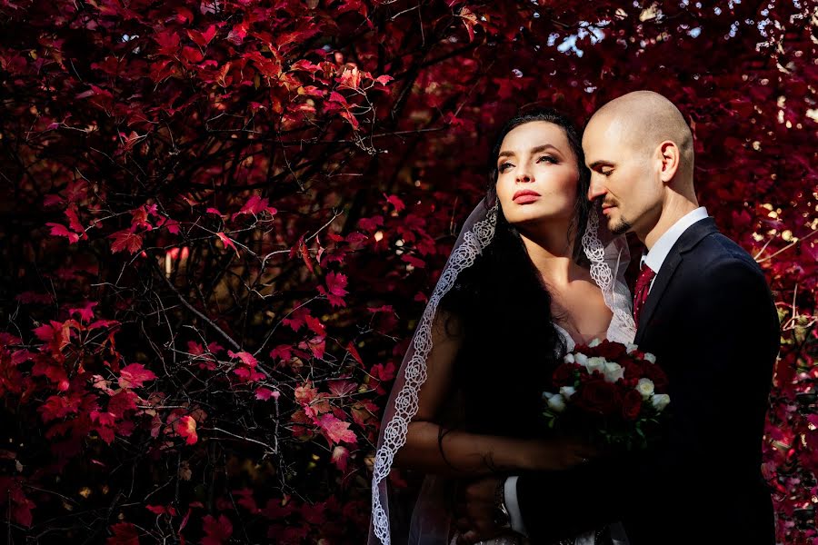 Fotógrafo de casamento Vyacheslav Samosudov (samosudov). Foto de 28 de outubro 2018