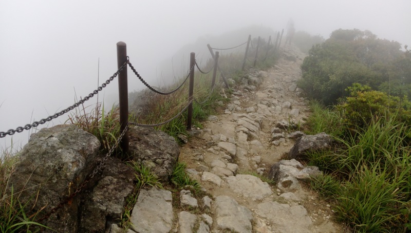 鳳凰山頂